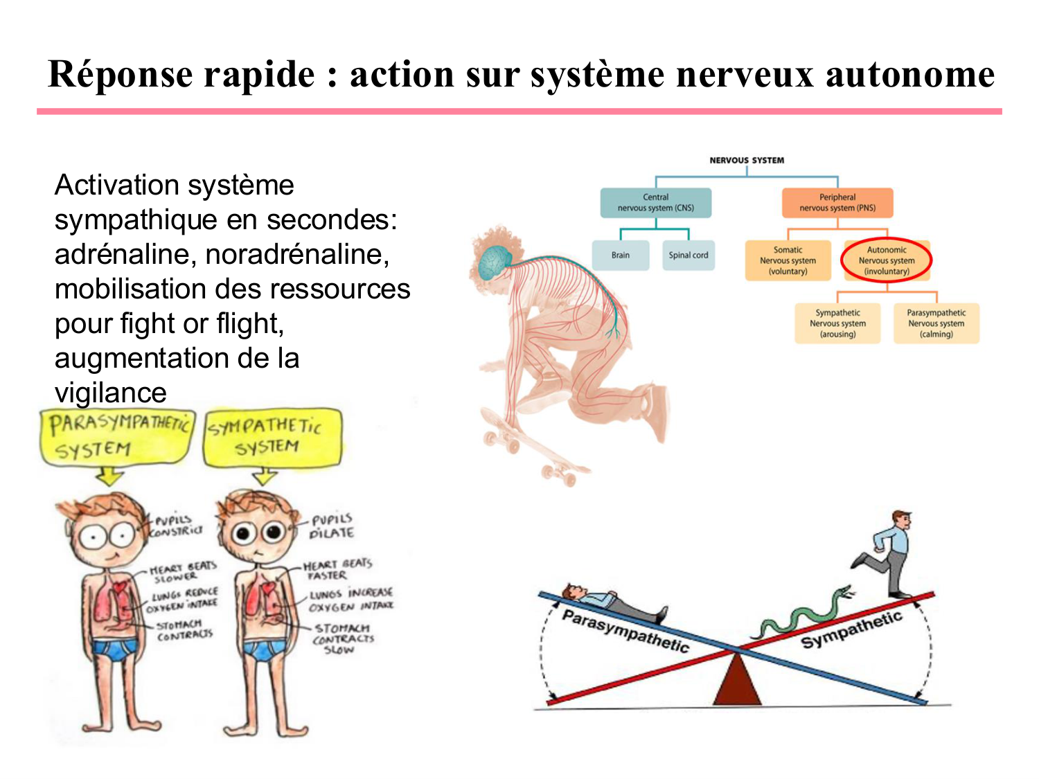 Piguet PSS 2025 page 18