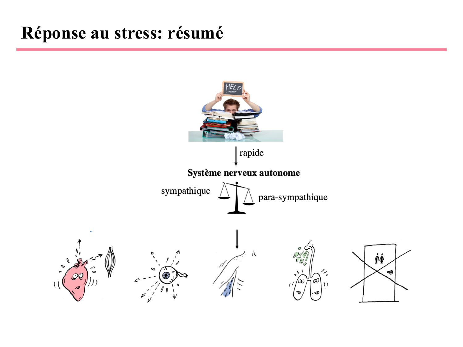 Piguet PSS 2025 page 21