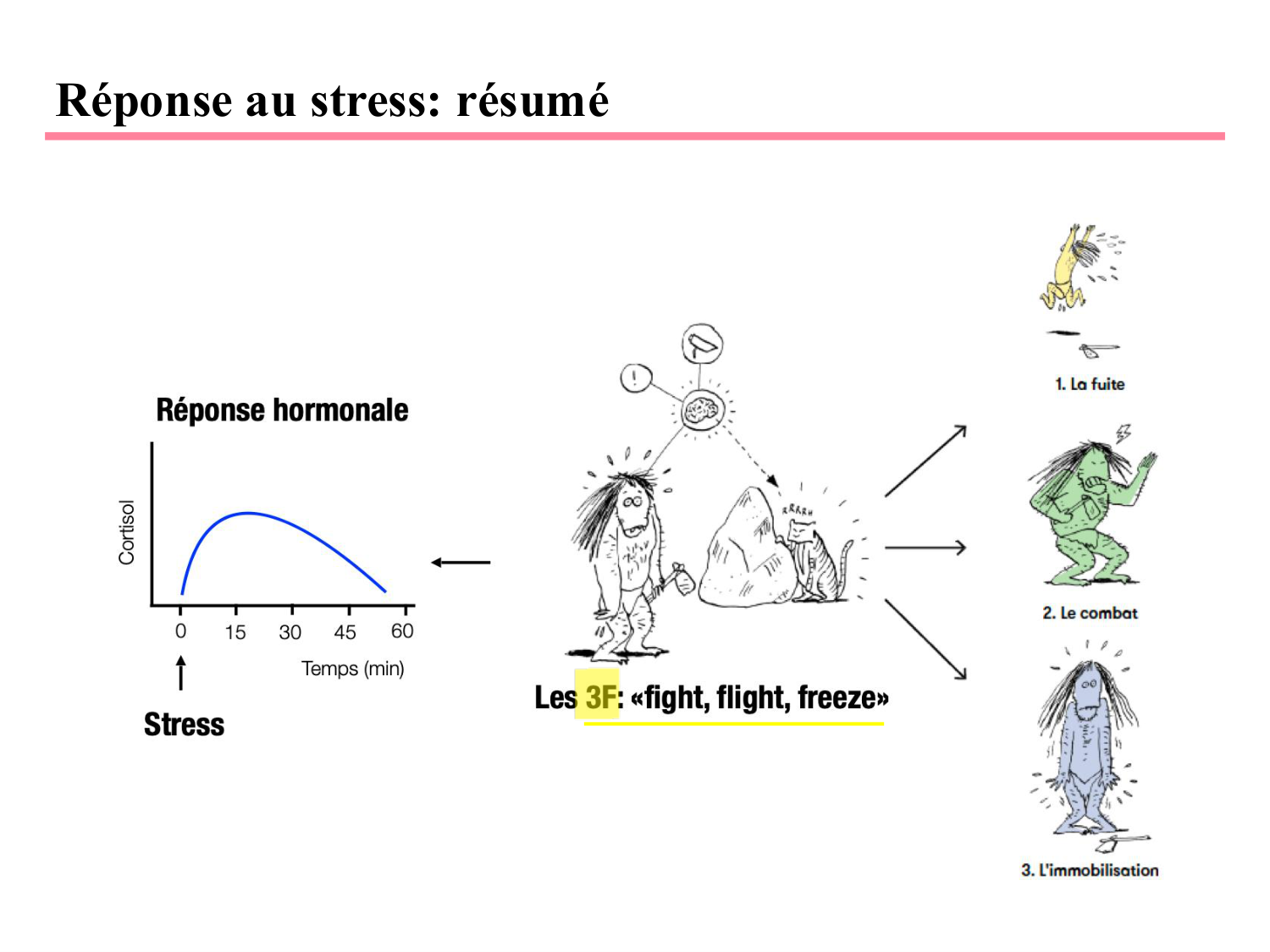 Piguet PSS 2025 page 22