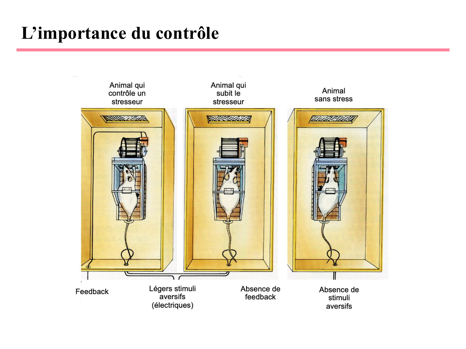 Piguet PSS 2025 page 24