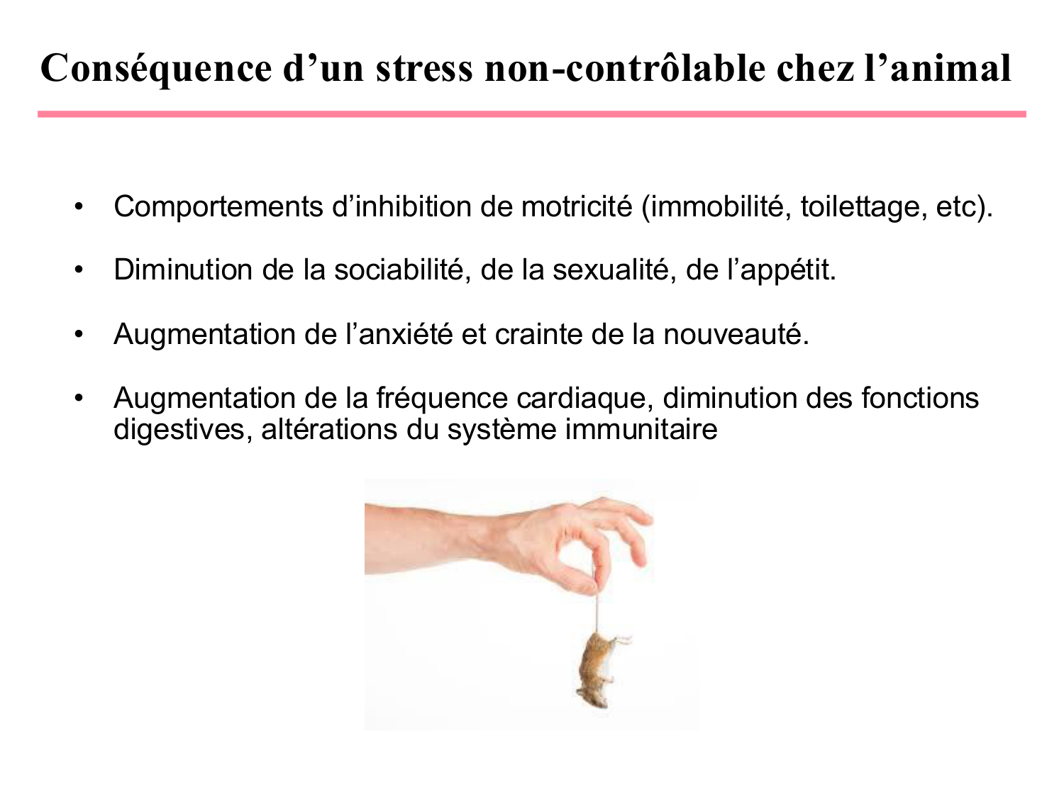 Piguet PSS 2025 page 25