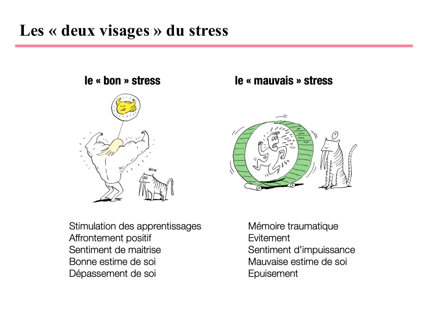 Piguet PSS 2025 page 32