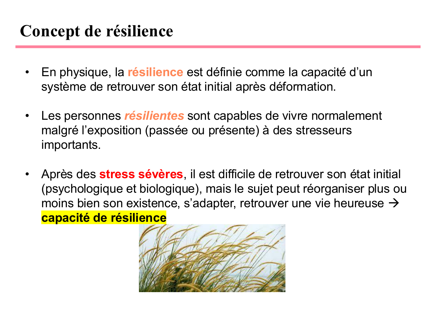 Piguet PSS 2025 page 37