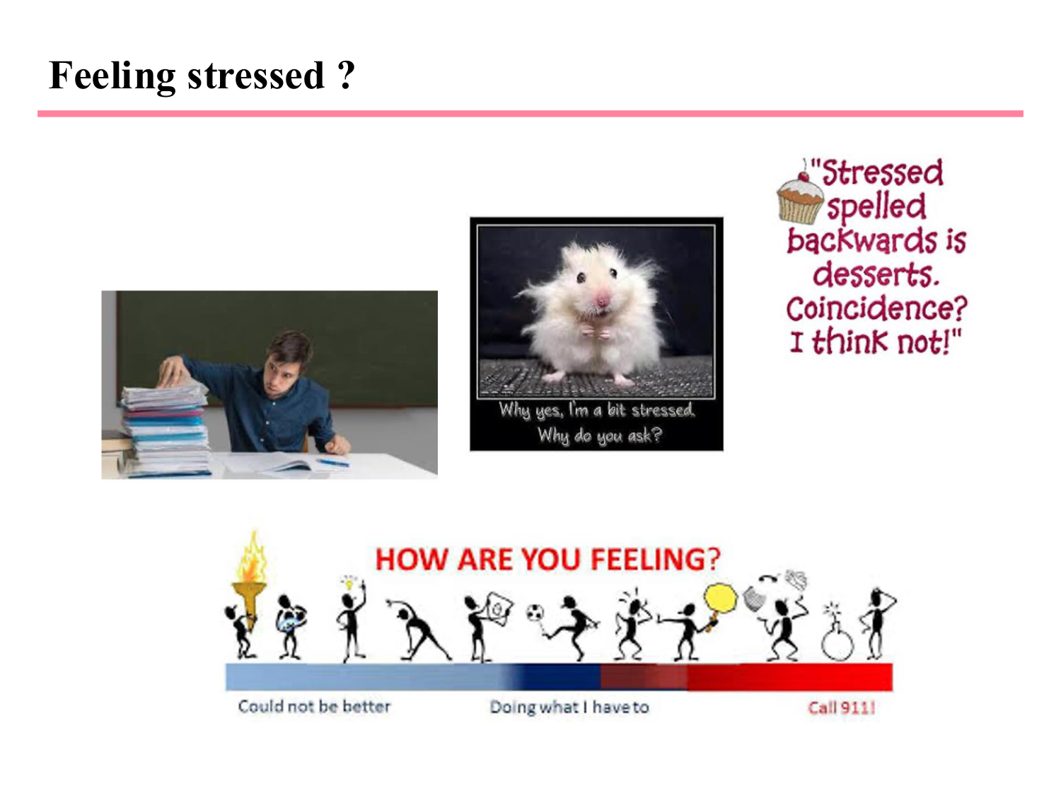 Piguet PSS 2025 page 39