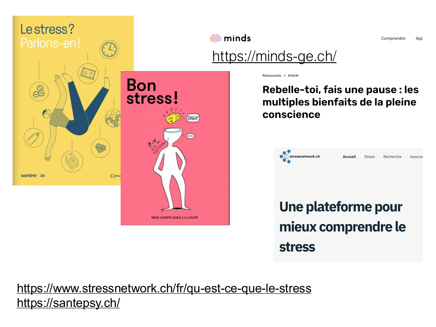 Piguet PSS 2025 page 41