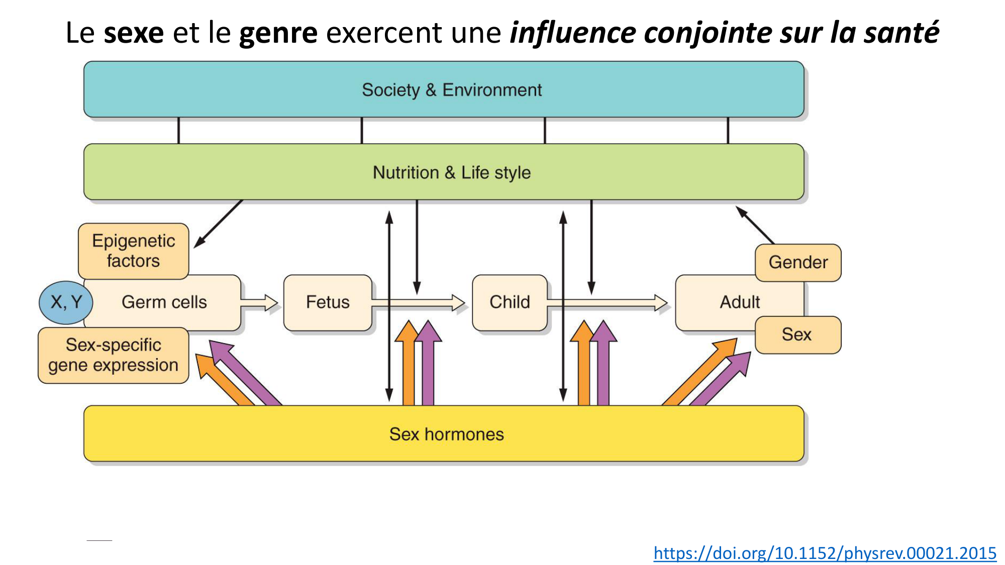 VERSION FINAL UNIGE cours PPS 5.03.2026 Tessitore page 3