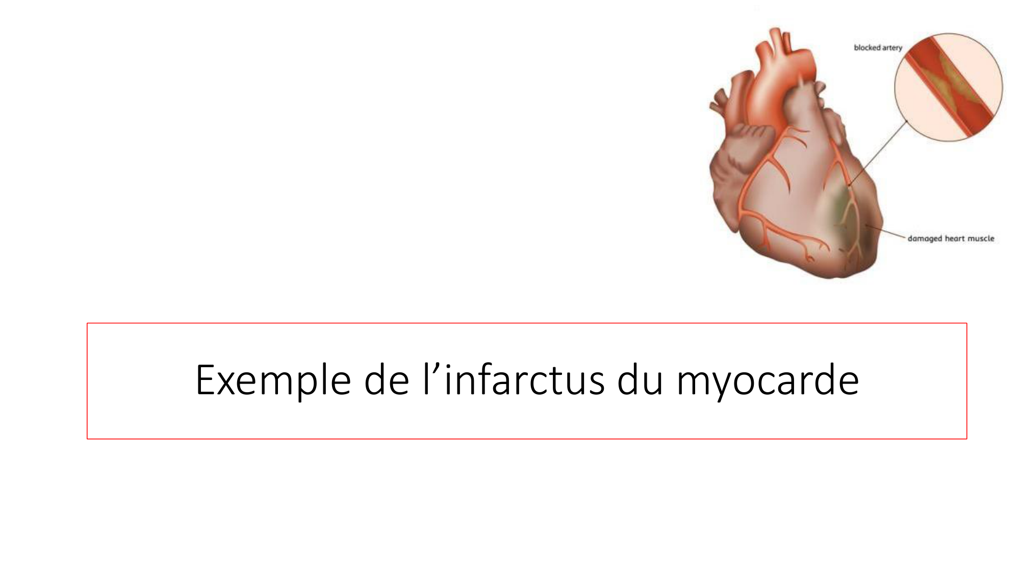 VERSION FINAL UNIGE cours PPS 5.03.2026 Tessitore page 13