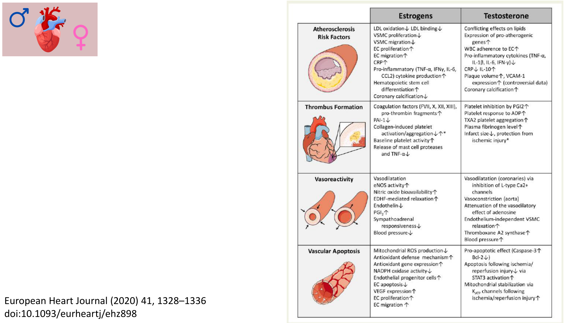 VERSION FINAL UNIGE cours PPS 5.03.2026 Tessitore page 14