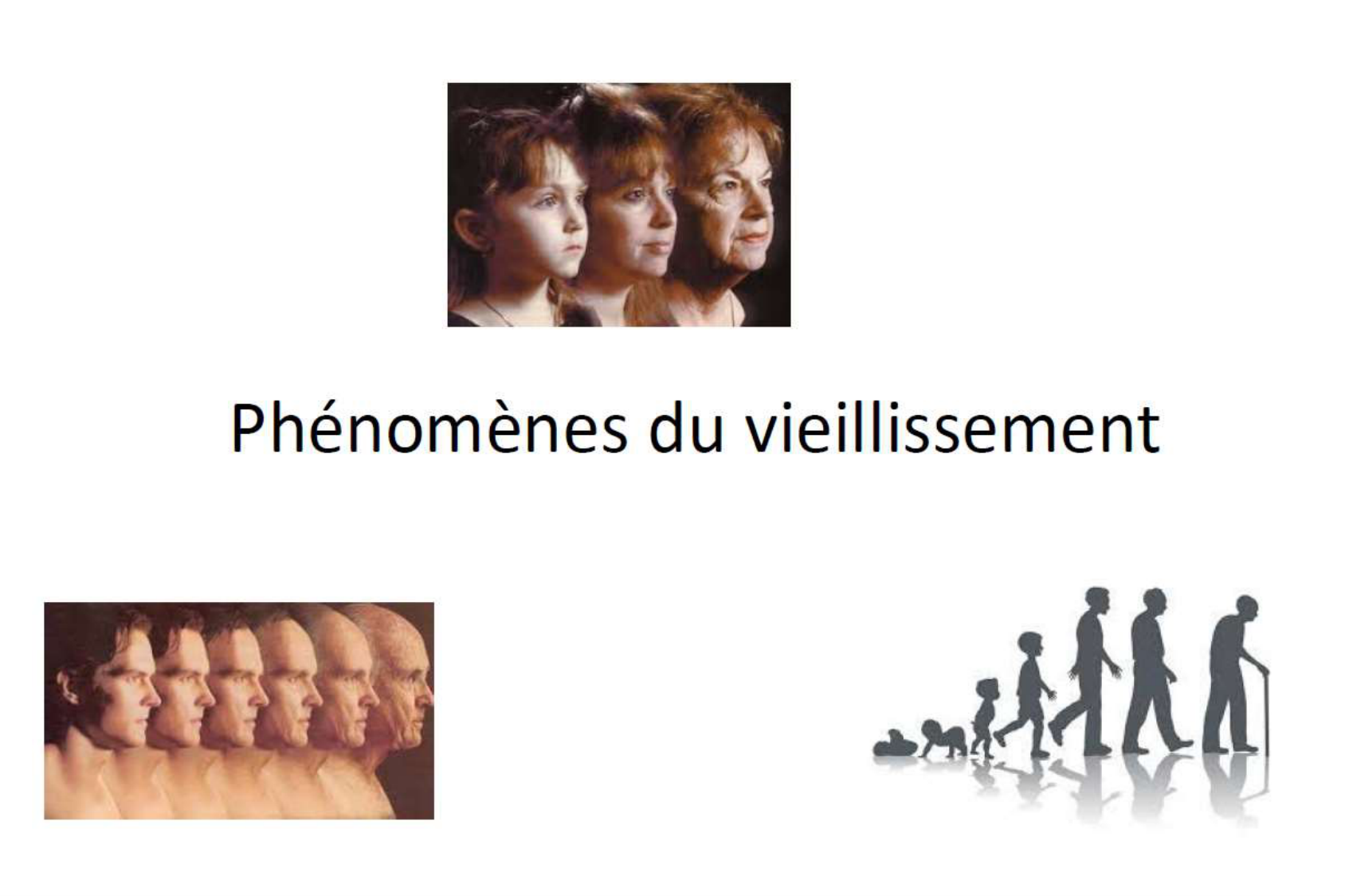 Zekry Vieillissement Vulnerabilite Qualité de vie 02.02.2026BONPSS page 16