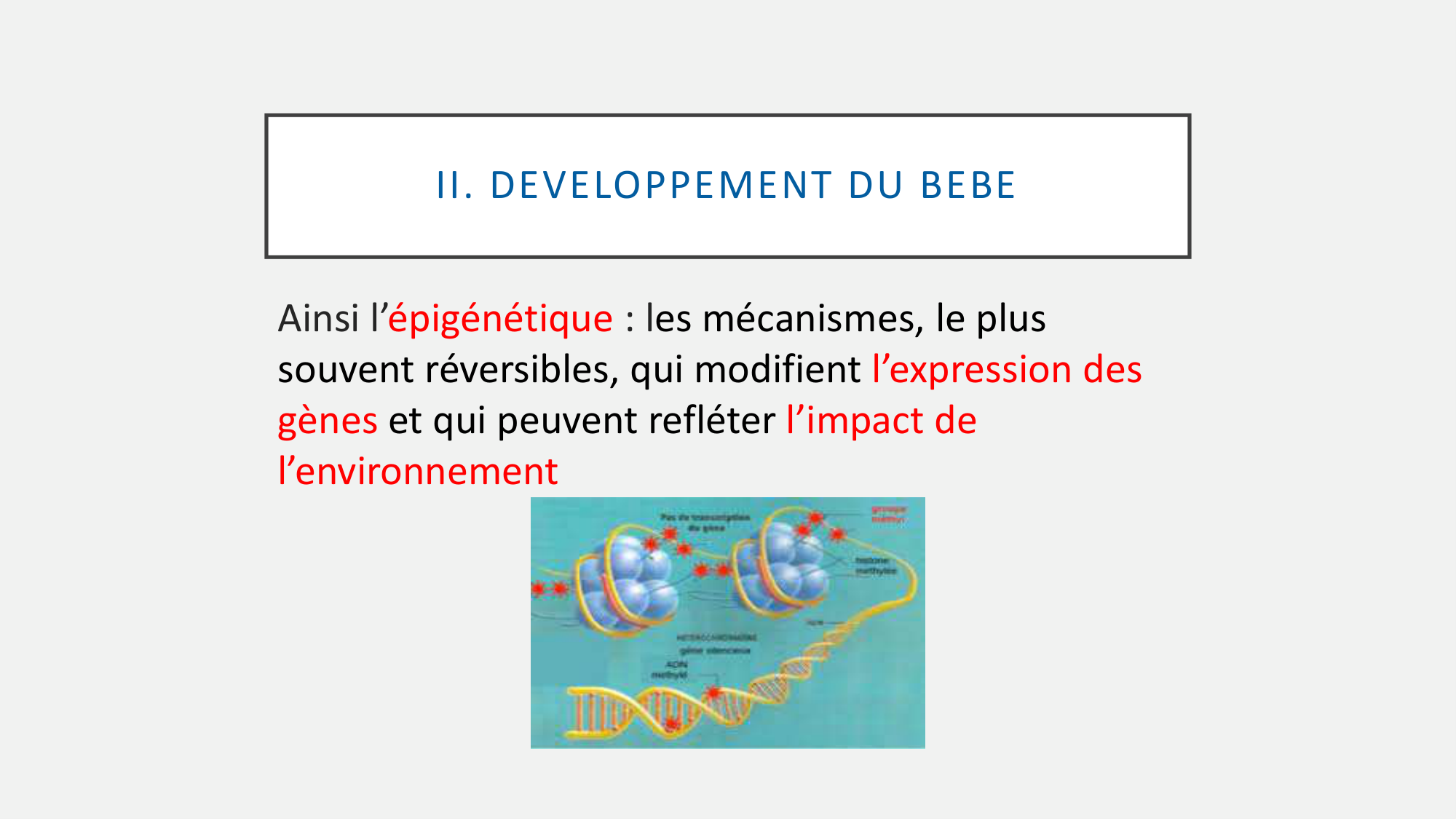 itty Les Ages de la vie.2026 v2 page 15