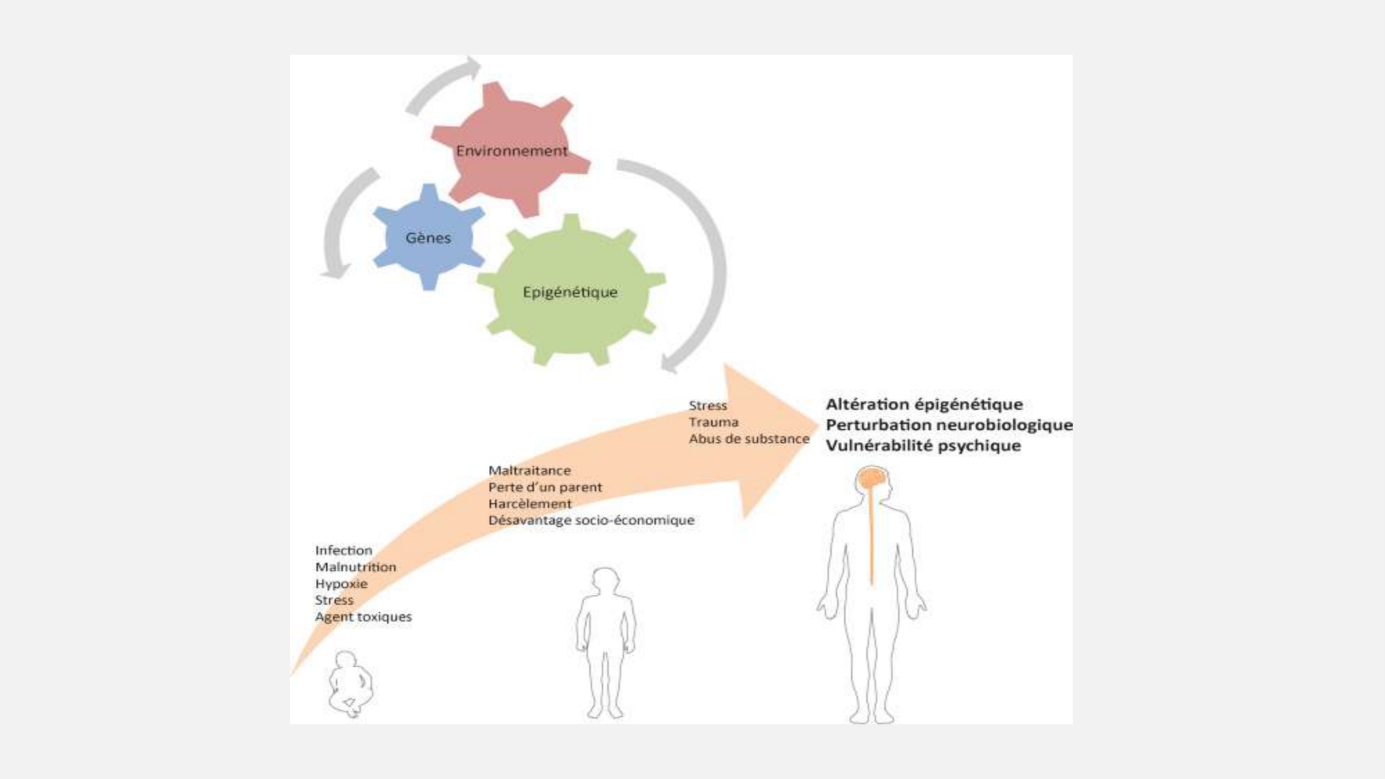 itty Les Ages de la vie.2026 v2 page 17