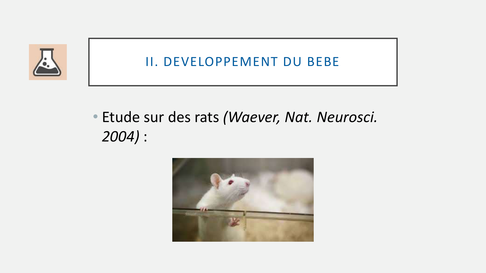 itty Les Ages de la vie.2026 v2 page 18