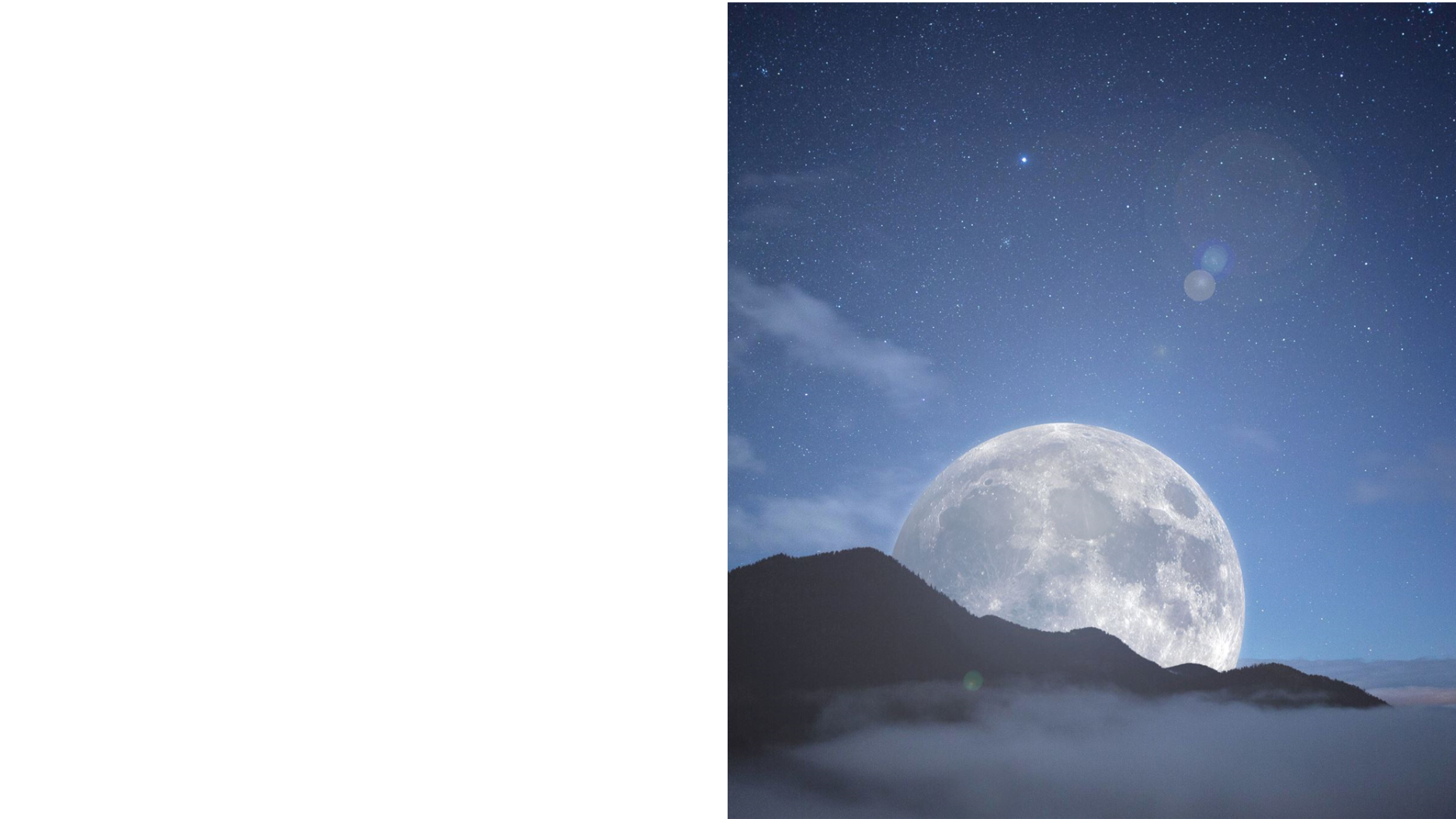 pautex-PSS 2026 page 81