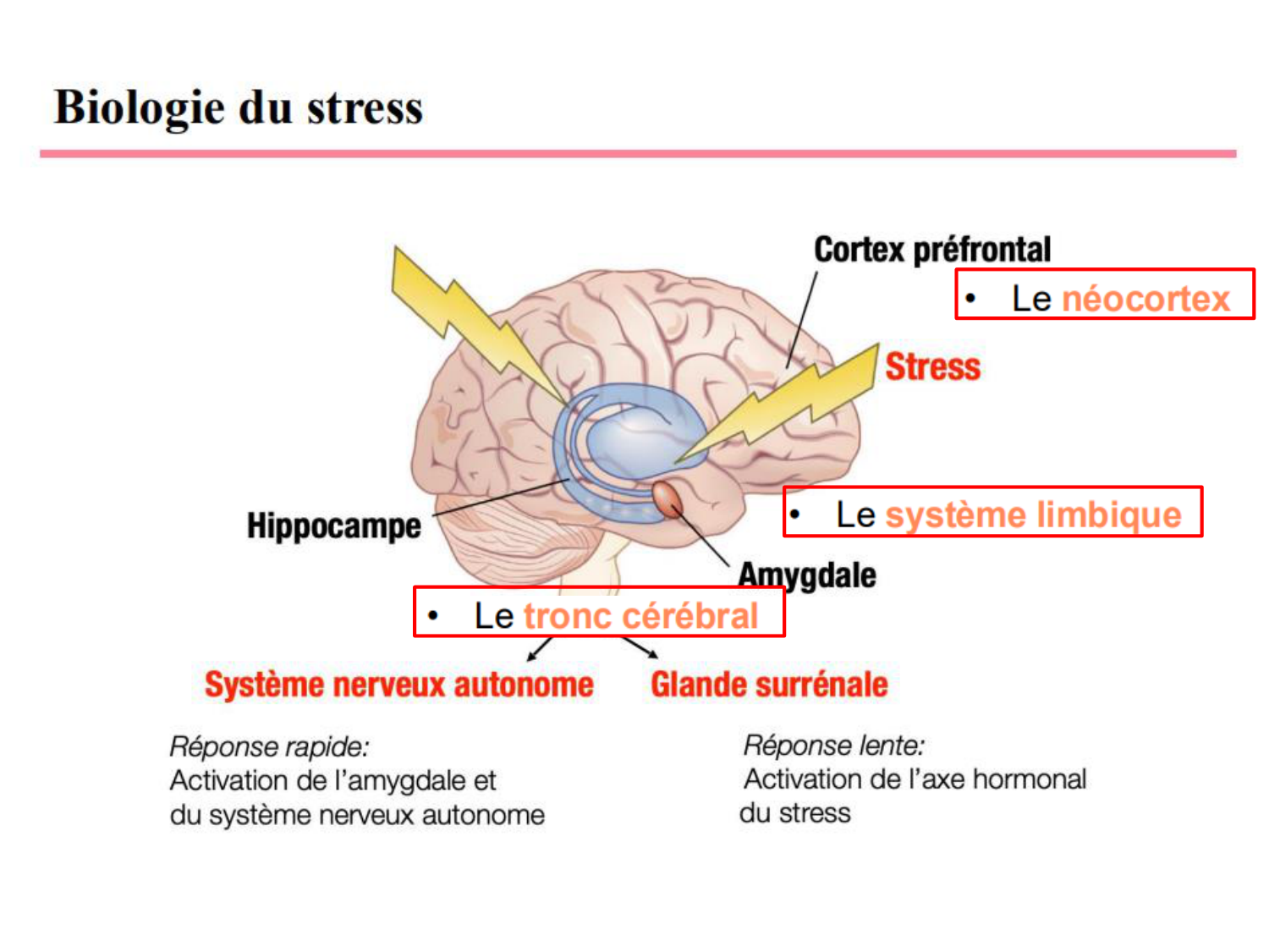 répét diversitéDR 25 avecR page 39