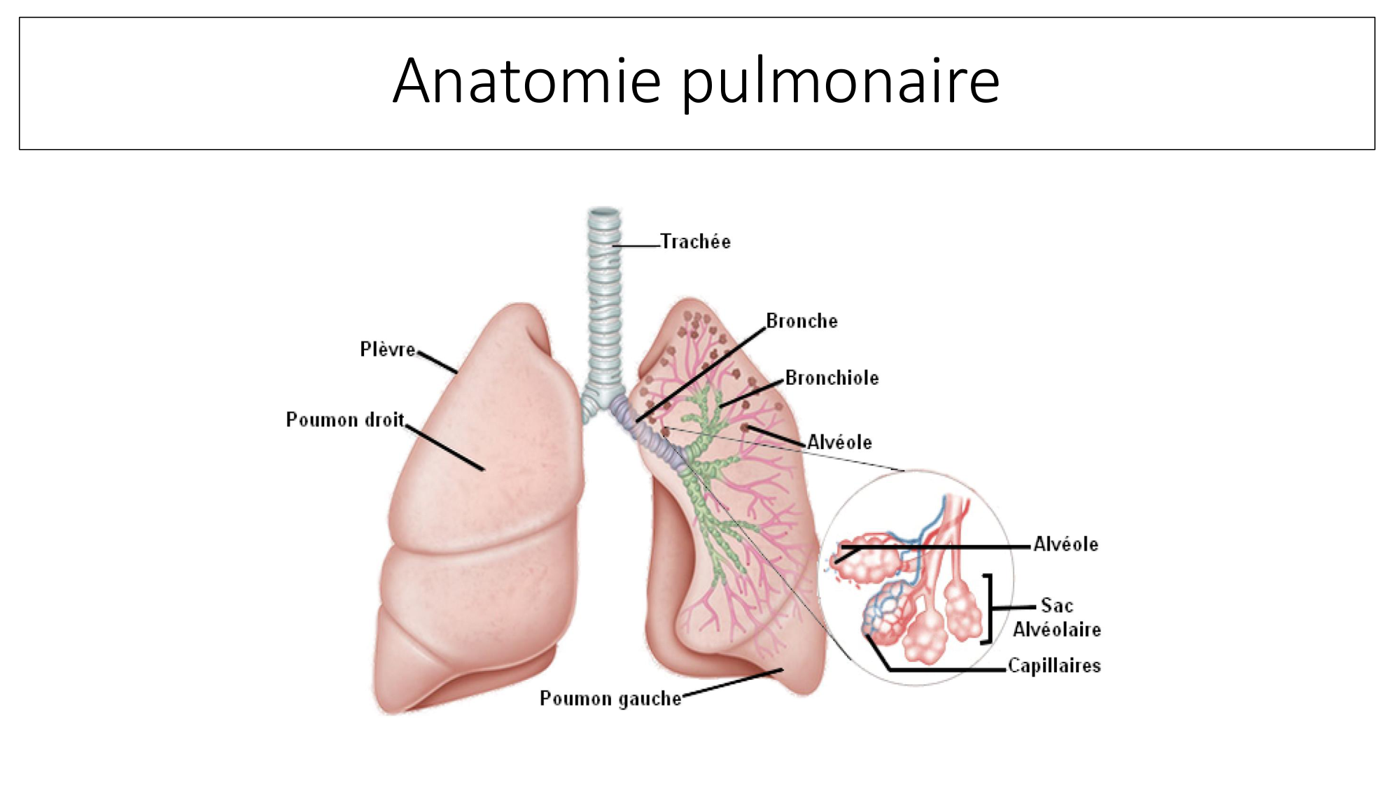 cas de laison MFE 1 page 18