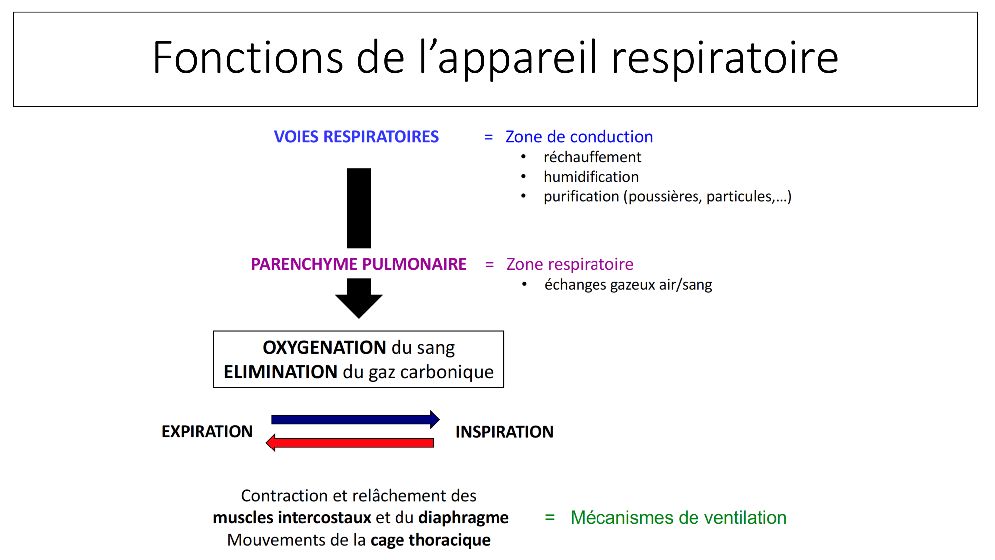 cas de laison MFE 1 page 19
