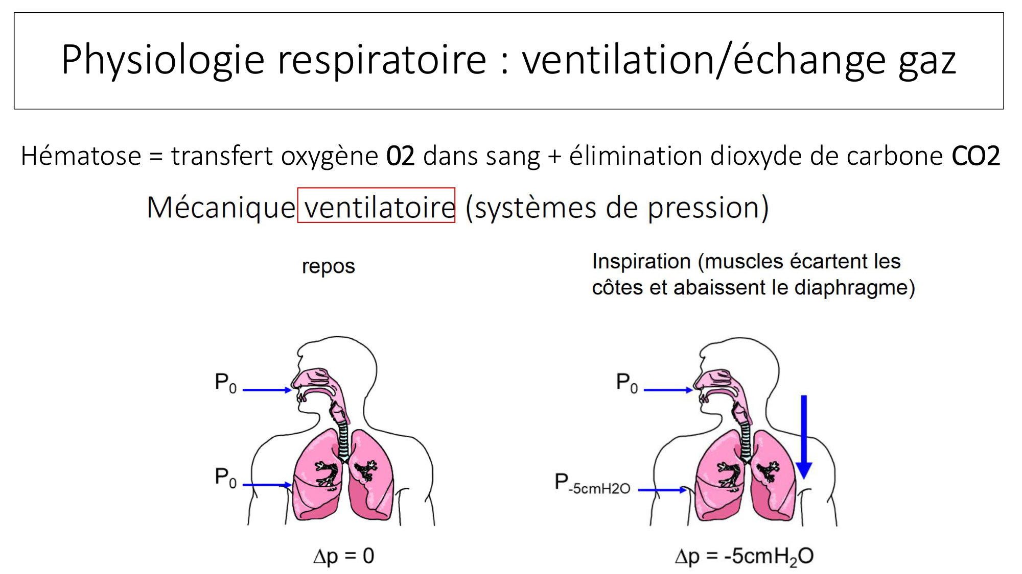 cas de laison MFE 1 page 20