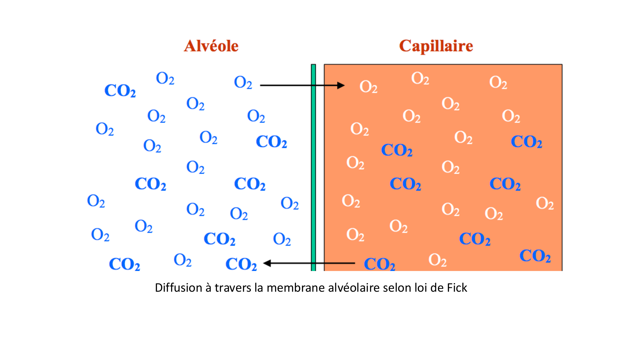 cas de laison MFE 5 page 9