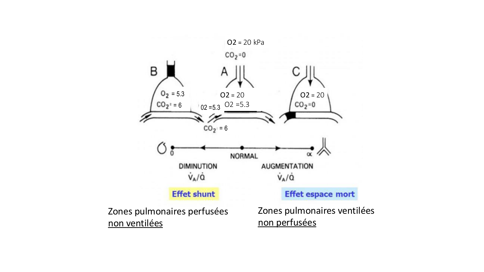 cas de laison MFE 5 page 11