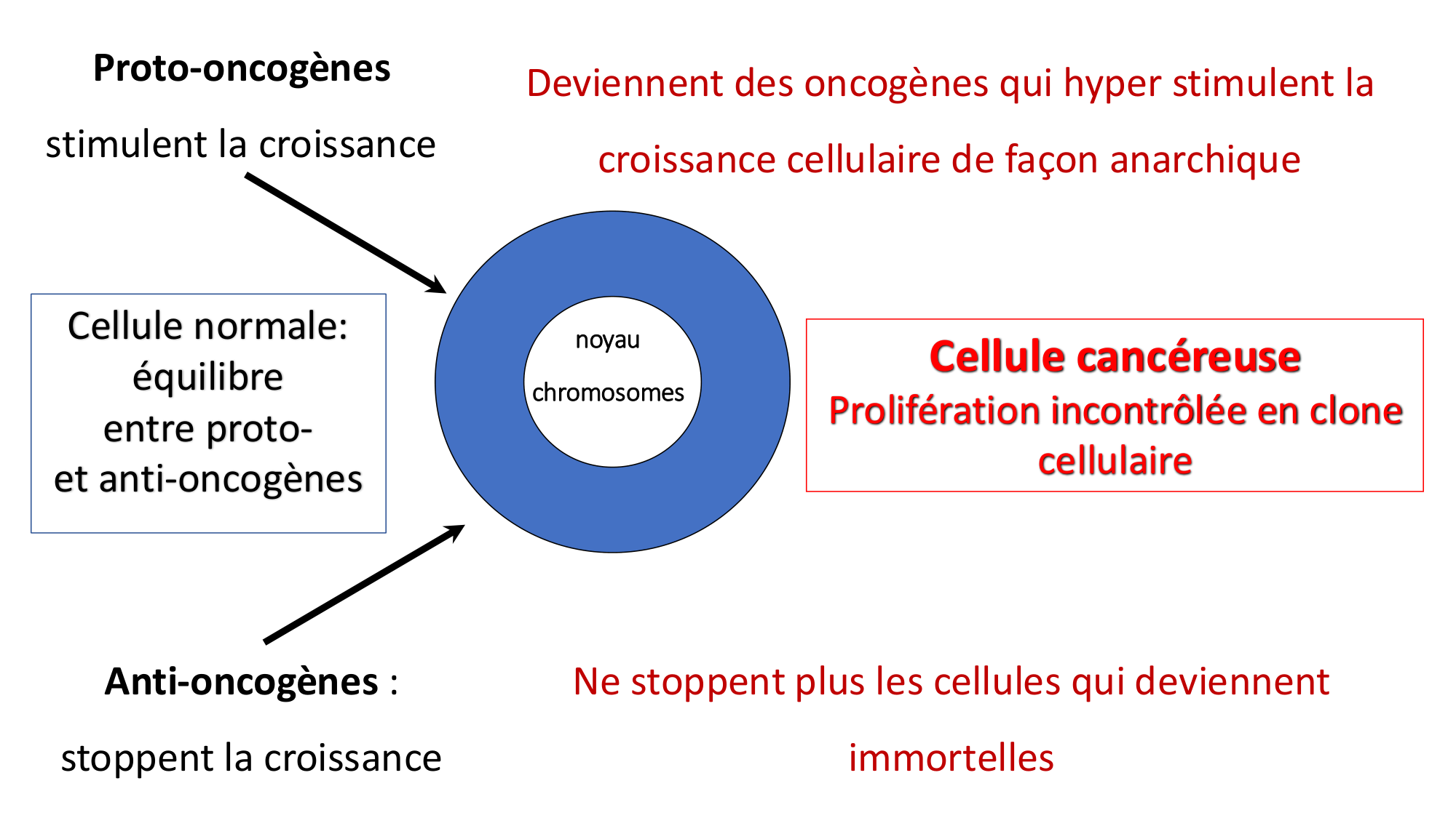 cas de laison MFE 6 page 22