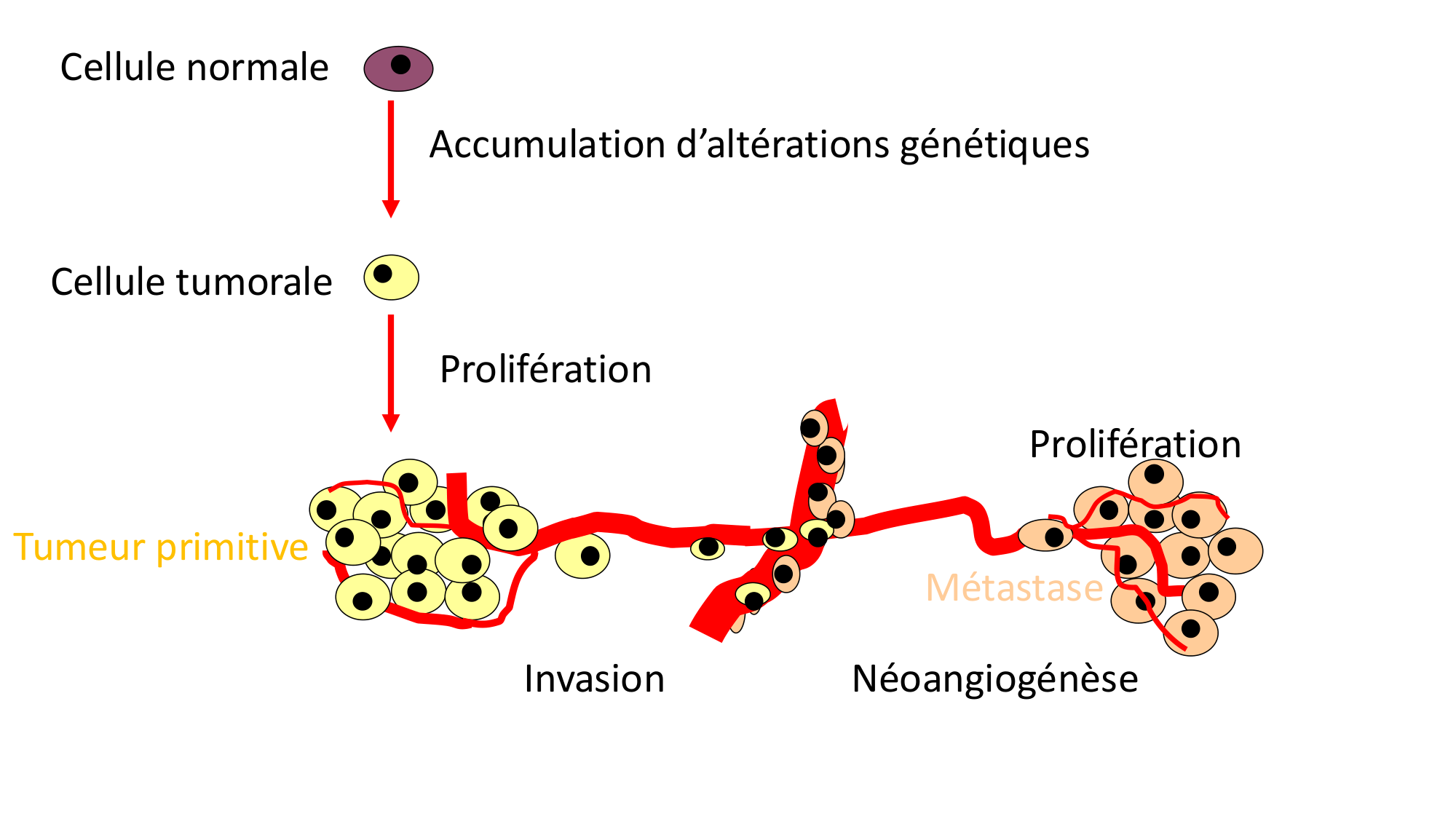 cas de laison MFE 6 page 25